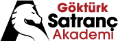 NetSpor Logo