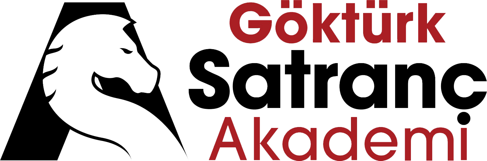 Göktürk Satranç Akademi